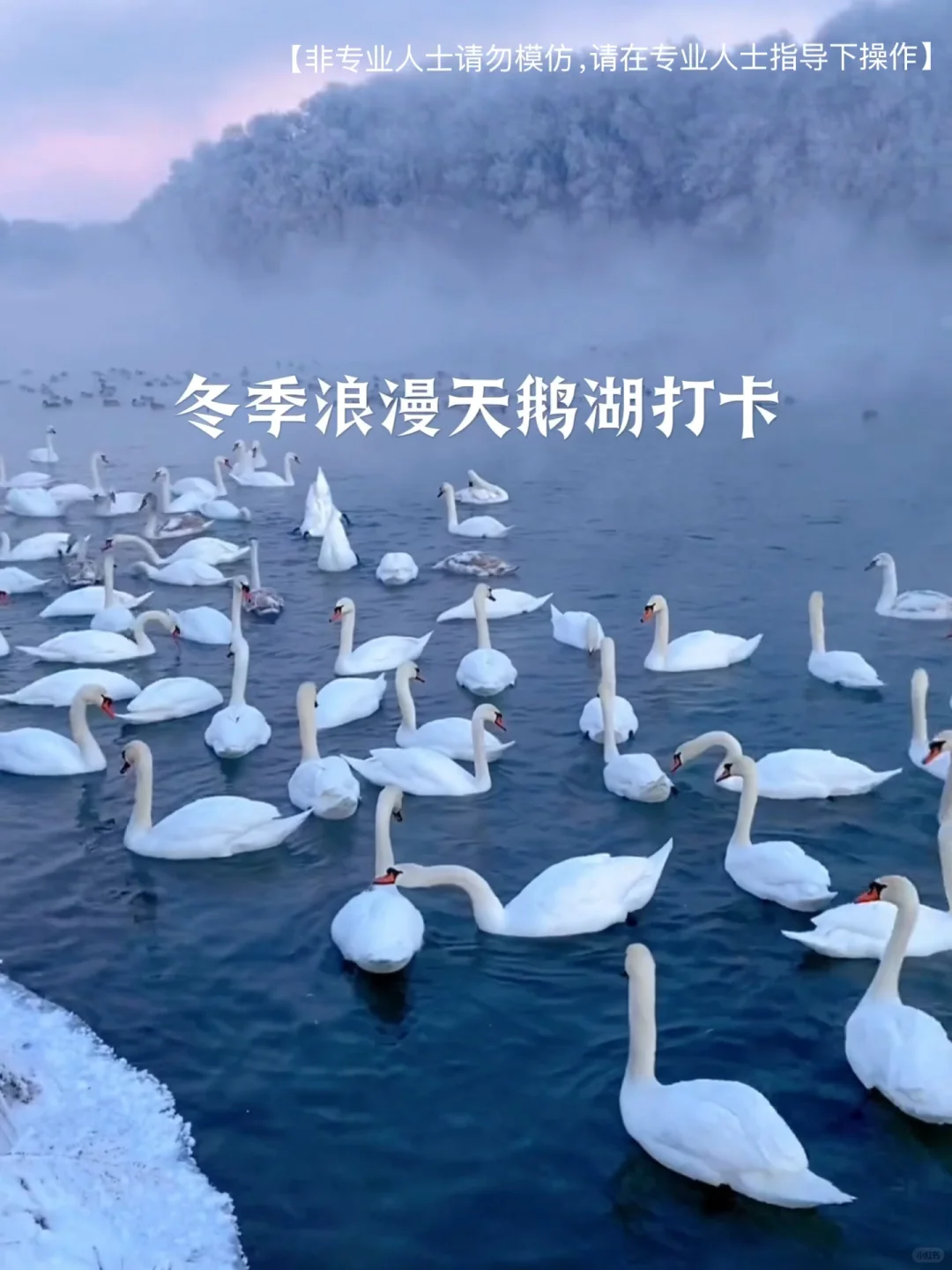 人均1W足矣❗冬天的伊犁真不比阿勒泰差🌟