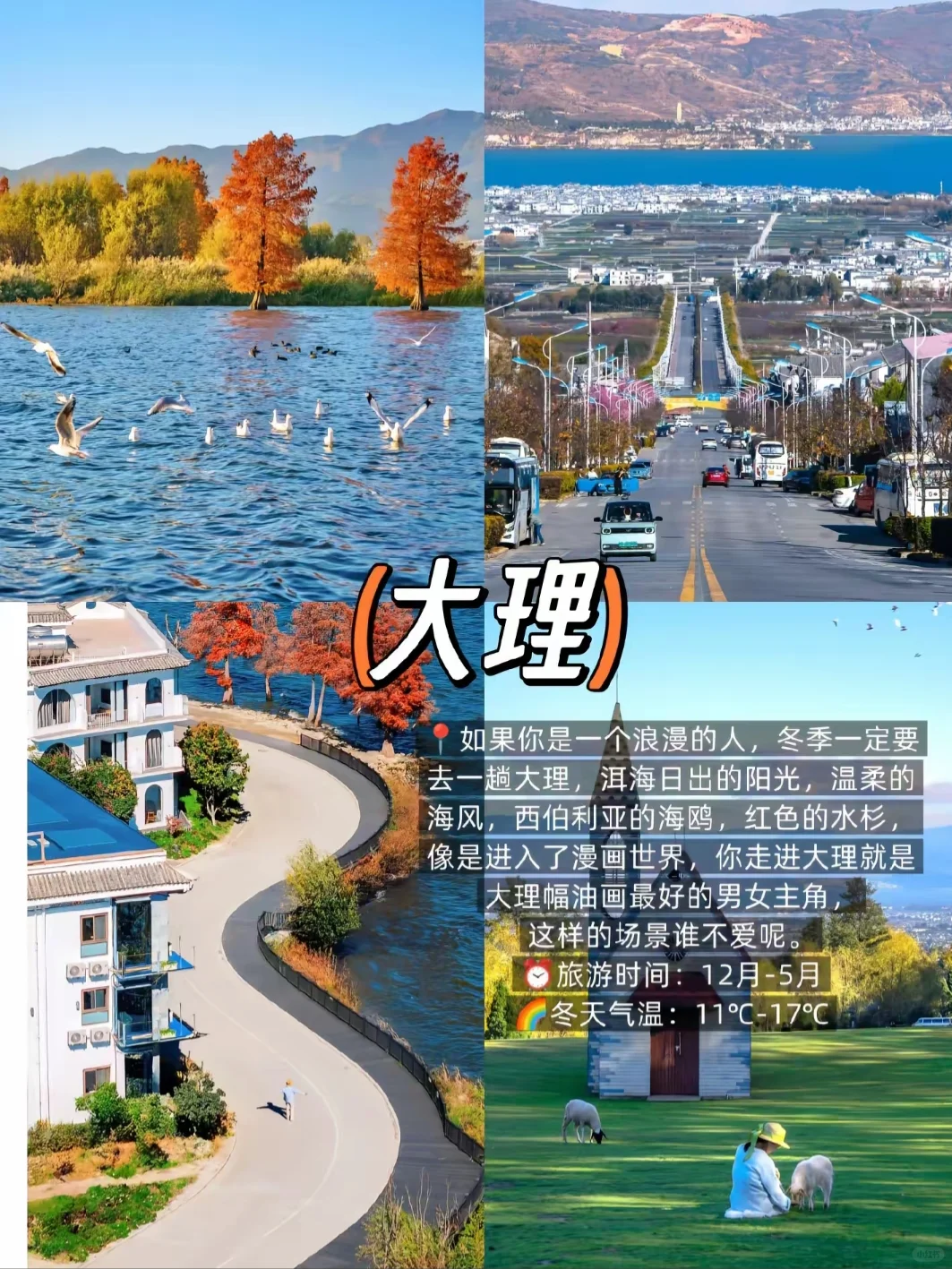 冬季反向旅游9个避寒城市🏝收藏好啦‼️