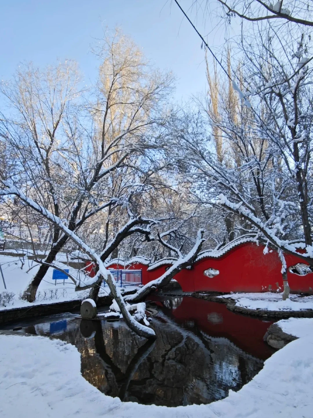 乌鲁木齐半日游—看雾凇的好去处❄️