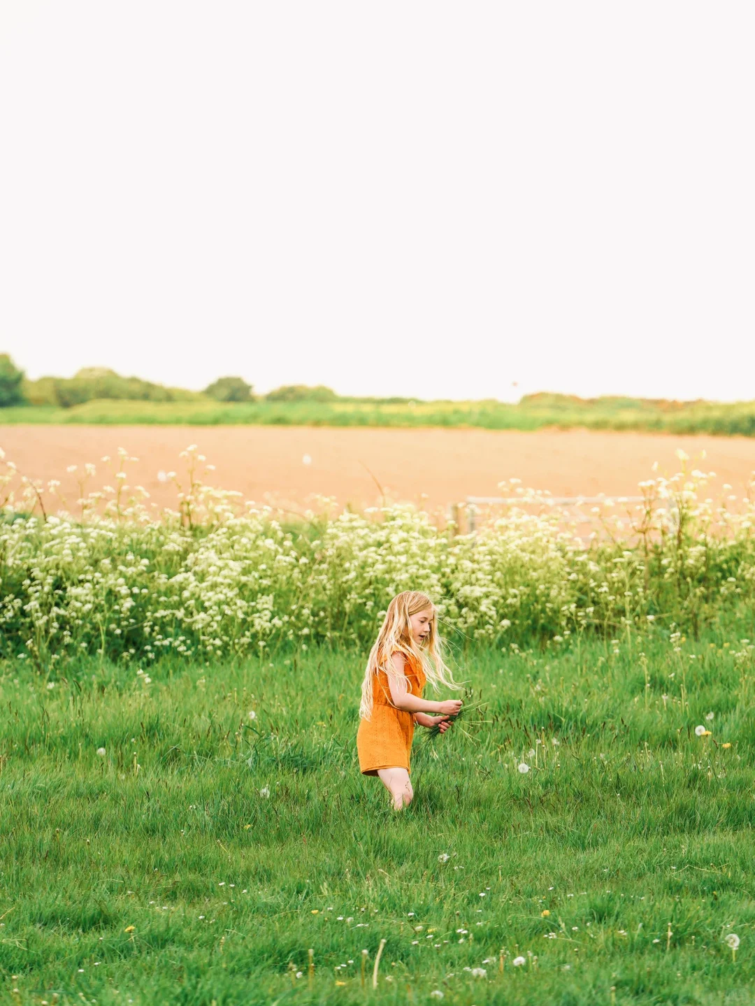《国家地理》没骗我!陆地的尽头太震撼了!