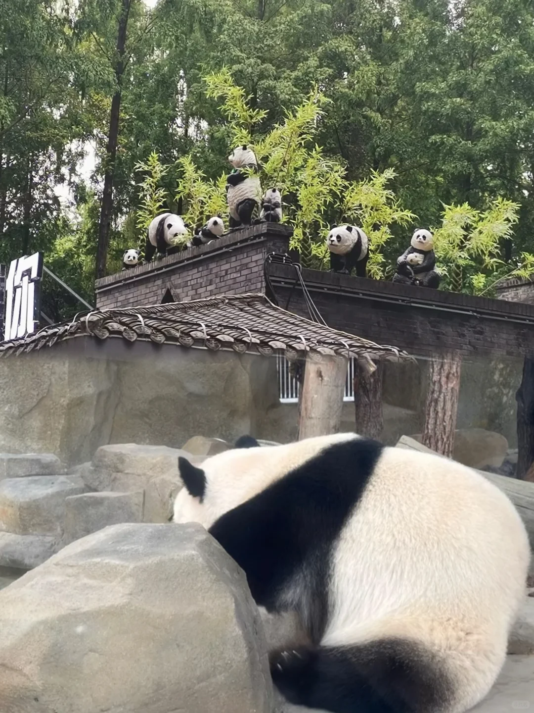 03女大📍成都/三天二夜精华版旅游攻略!