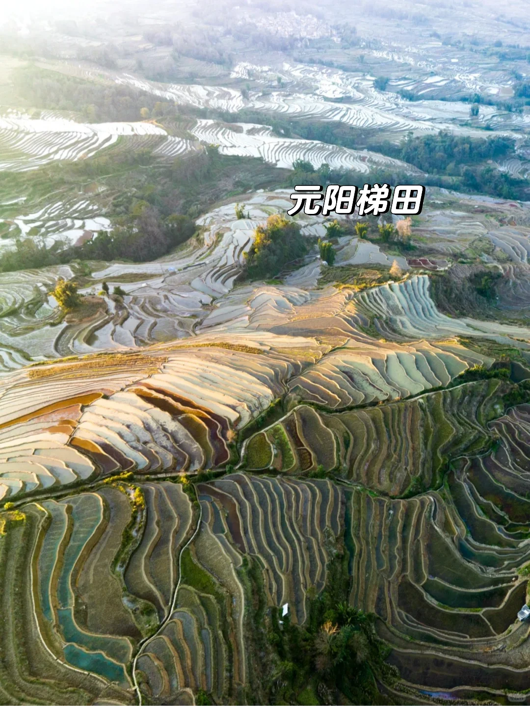 春节一定要冲21°C的弥勒！真的反向旅游天花