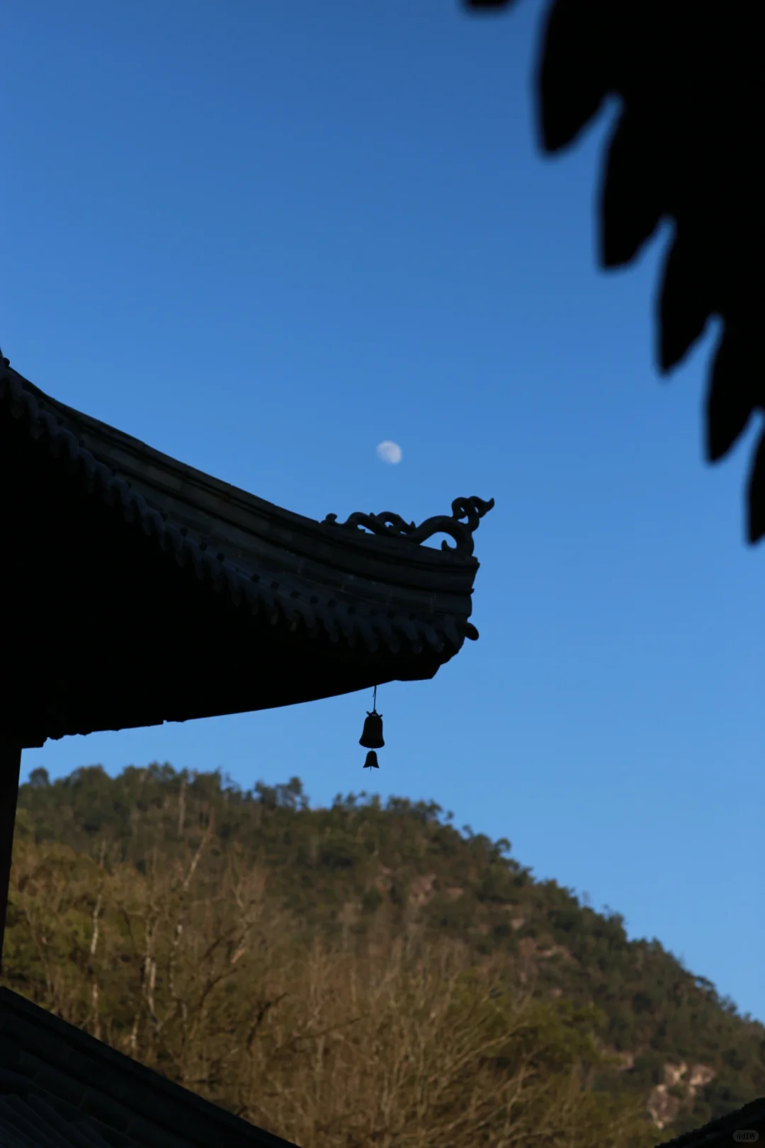 国清寺 一个免门票的5A级景区