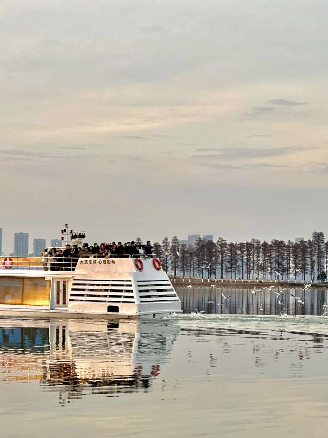 不是大理去不起，而是东湖更有性价比！！！