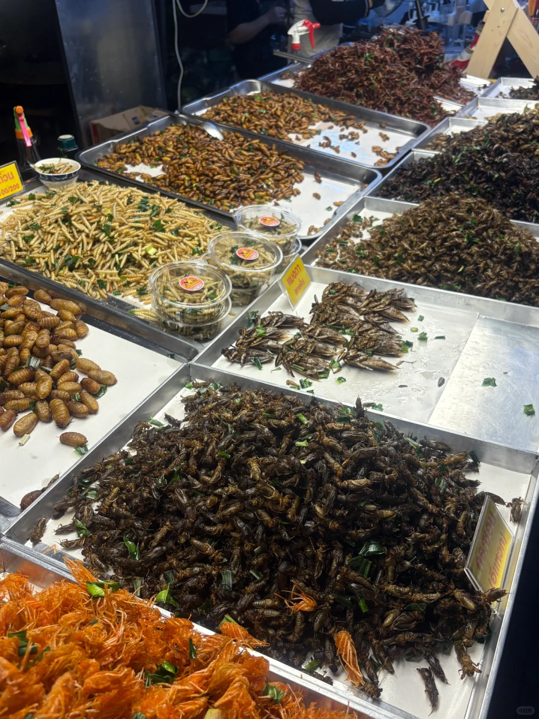 实时1月10日泰国曼谷行程总结