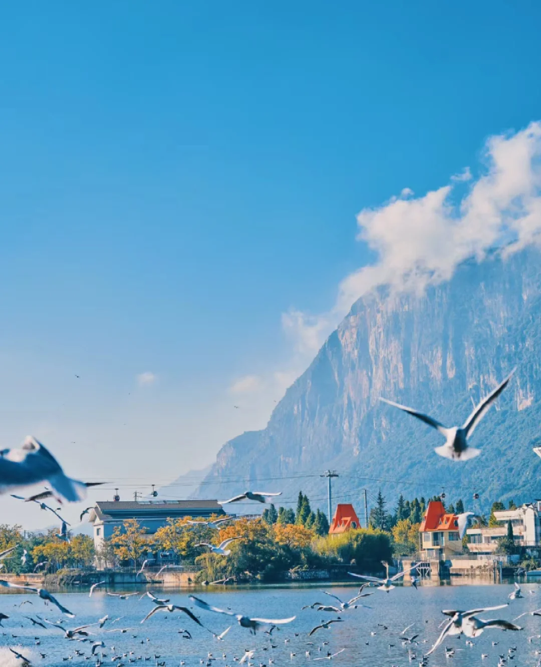 云南这些地方，你来过没有？