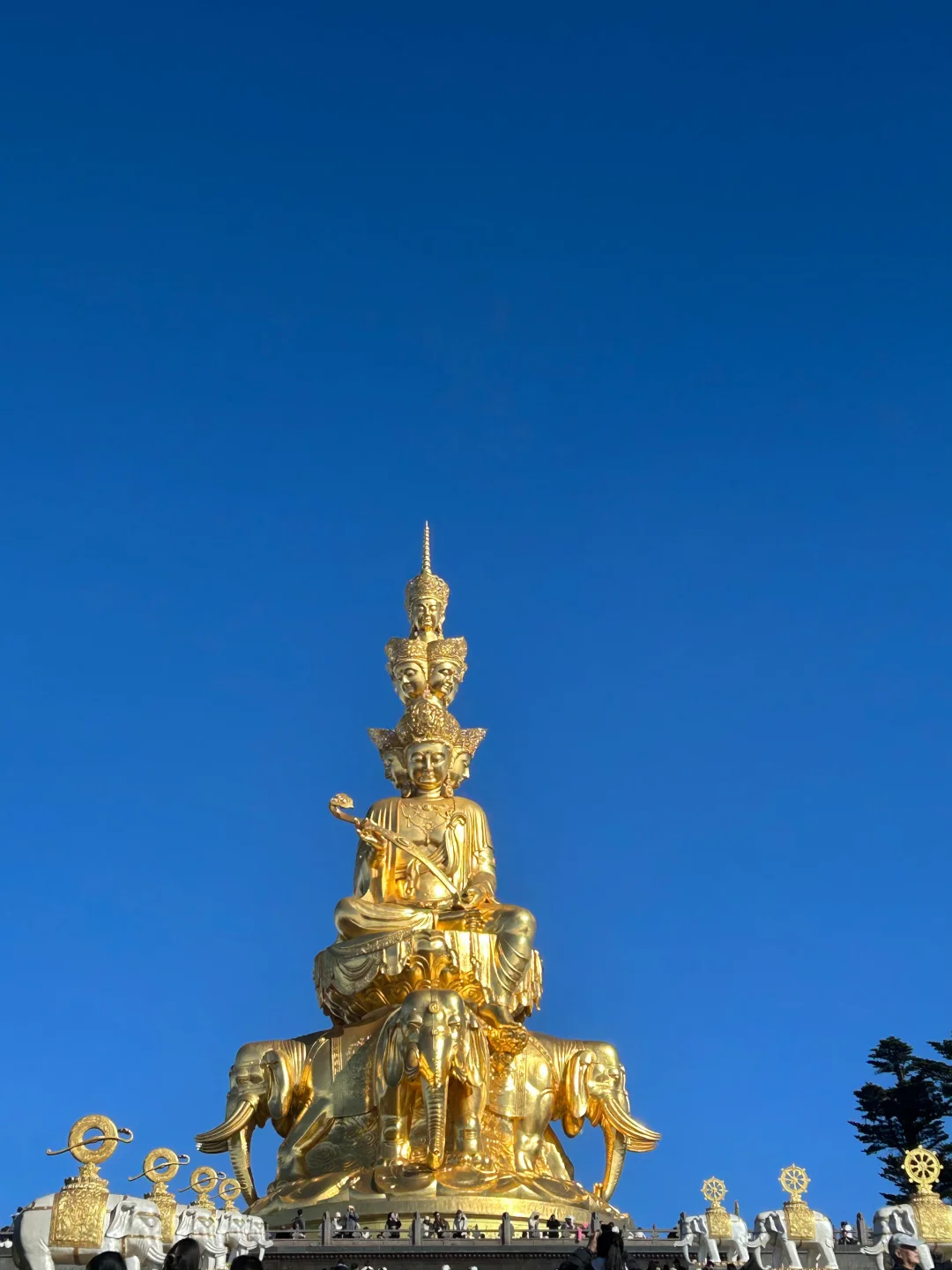 四川旅游🗺️攻略➰土著整理不绕路行程➕建议