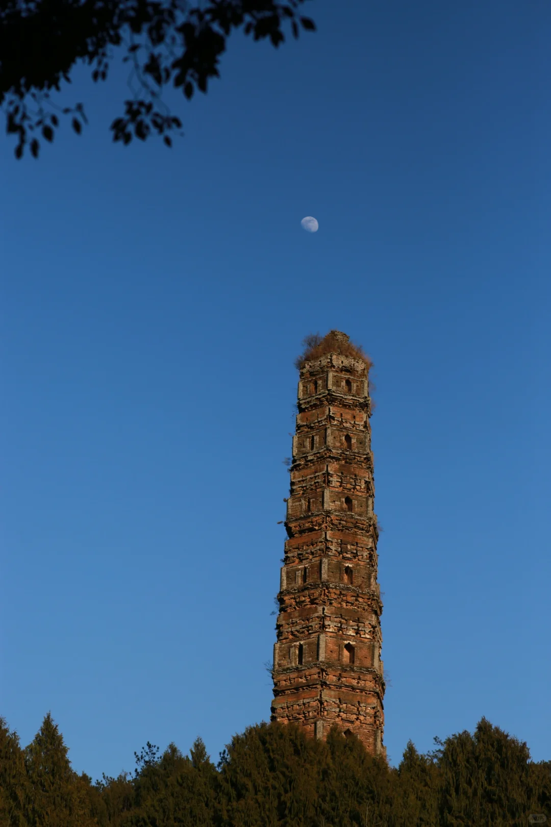 国清寺 一个免门票的5A级景区