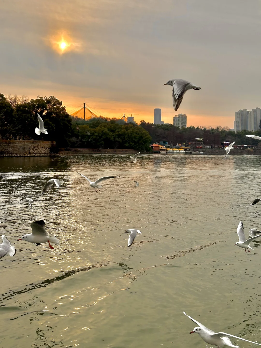 不是大理去不起，而是东湖更有性价比！！！