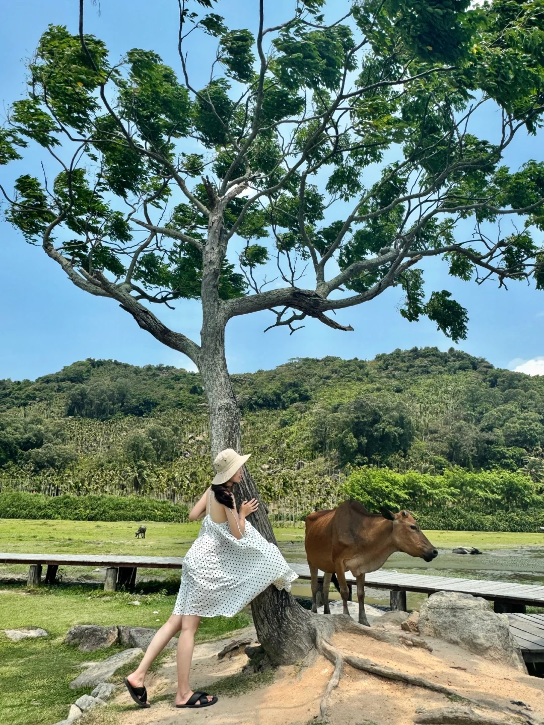 解答你去海南旅行前所有疑惑