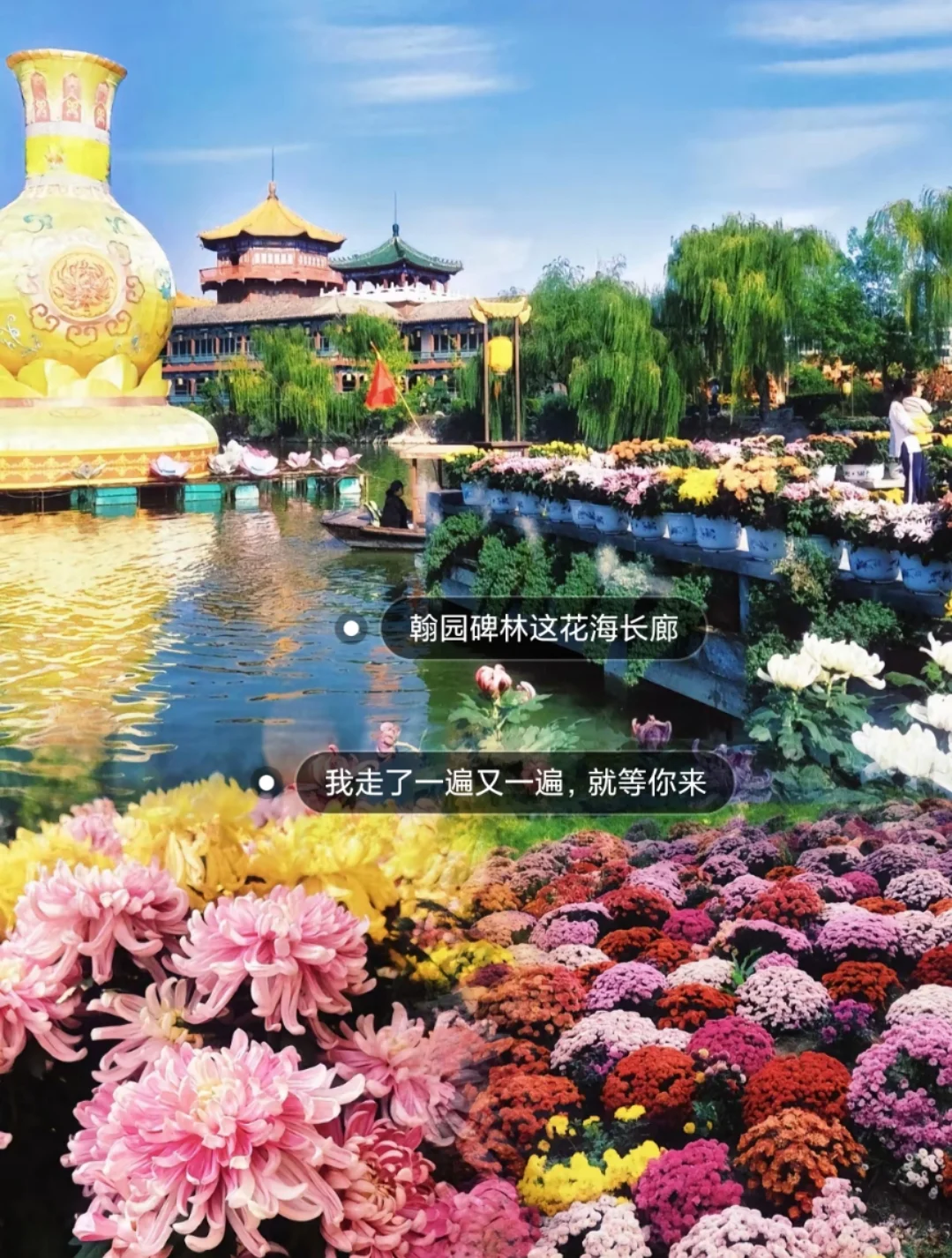 邯郸到开封菊花文化节，自由逛吃开封！