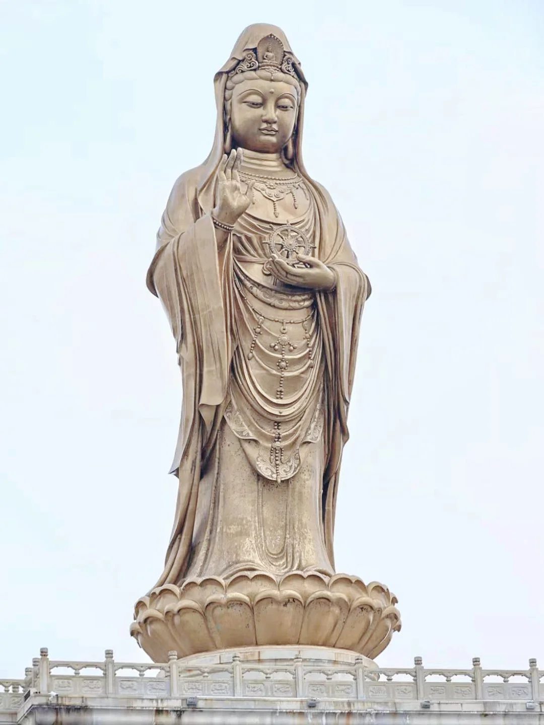 来朱家尖还能这样玩？✨拿走不谢