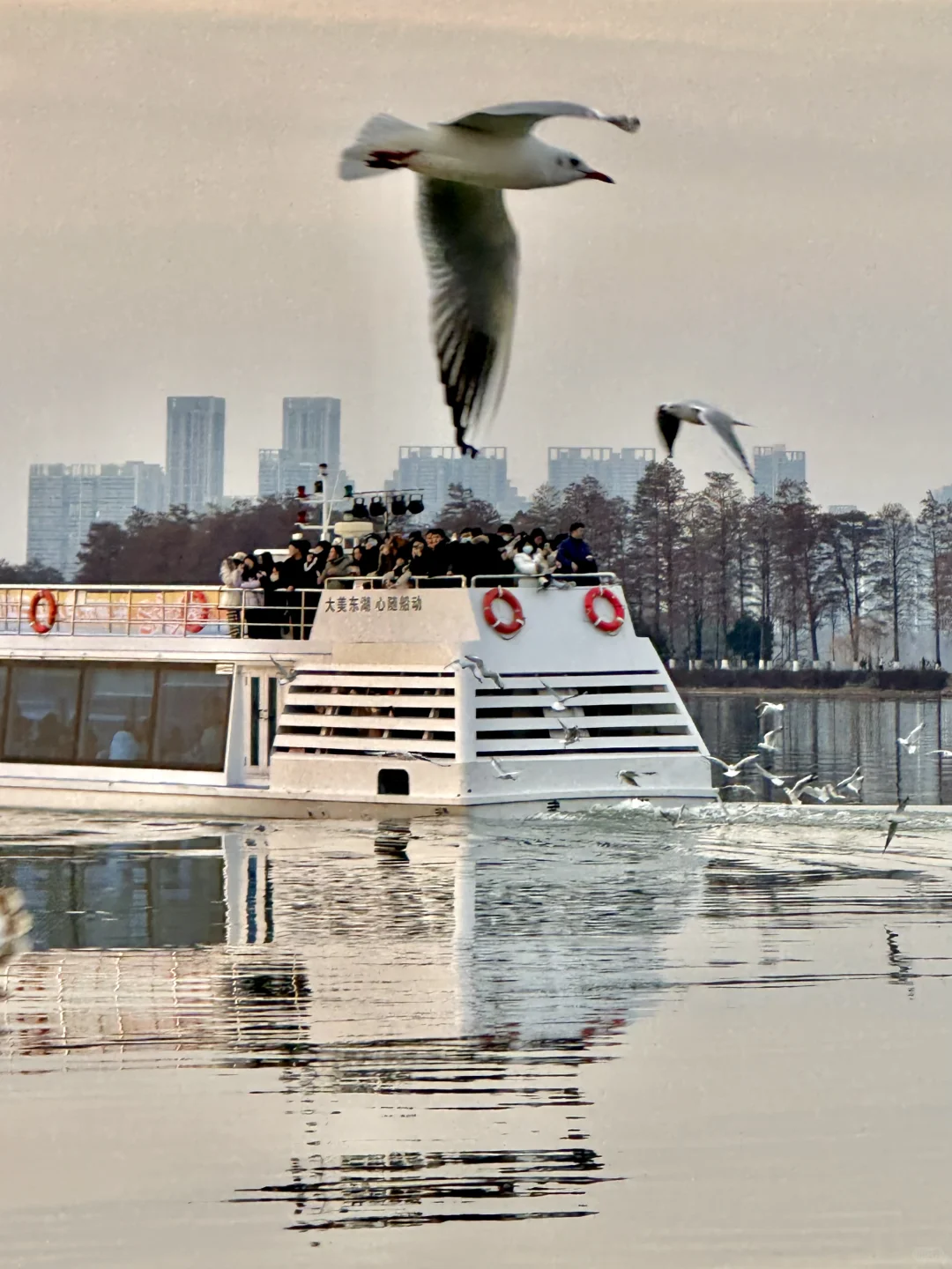 不是大理去不起，而是东湖更有性价比！！！