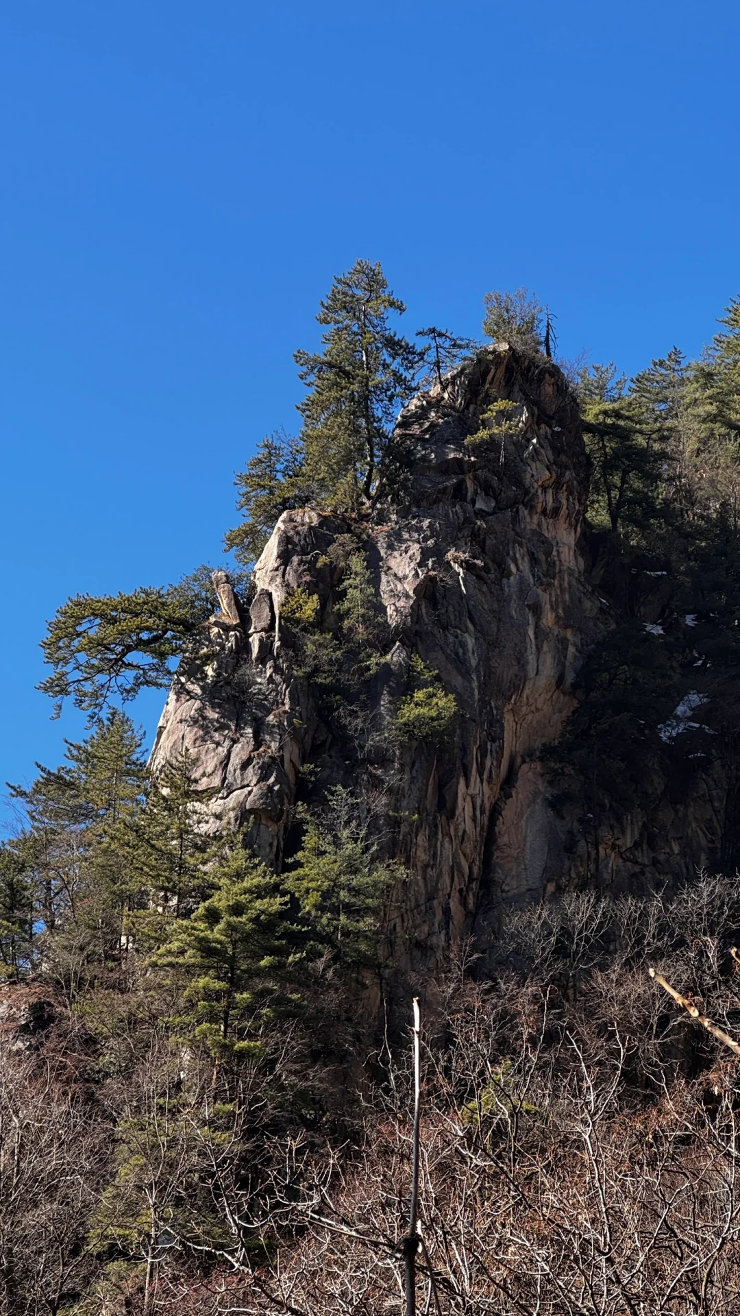 秦岭小黄山