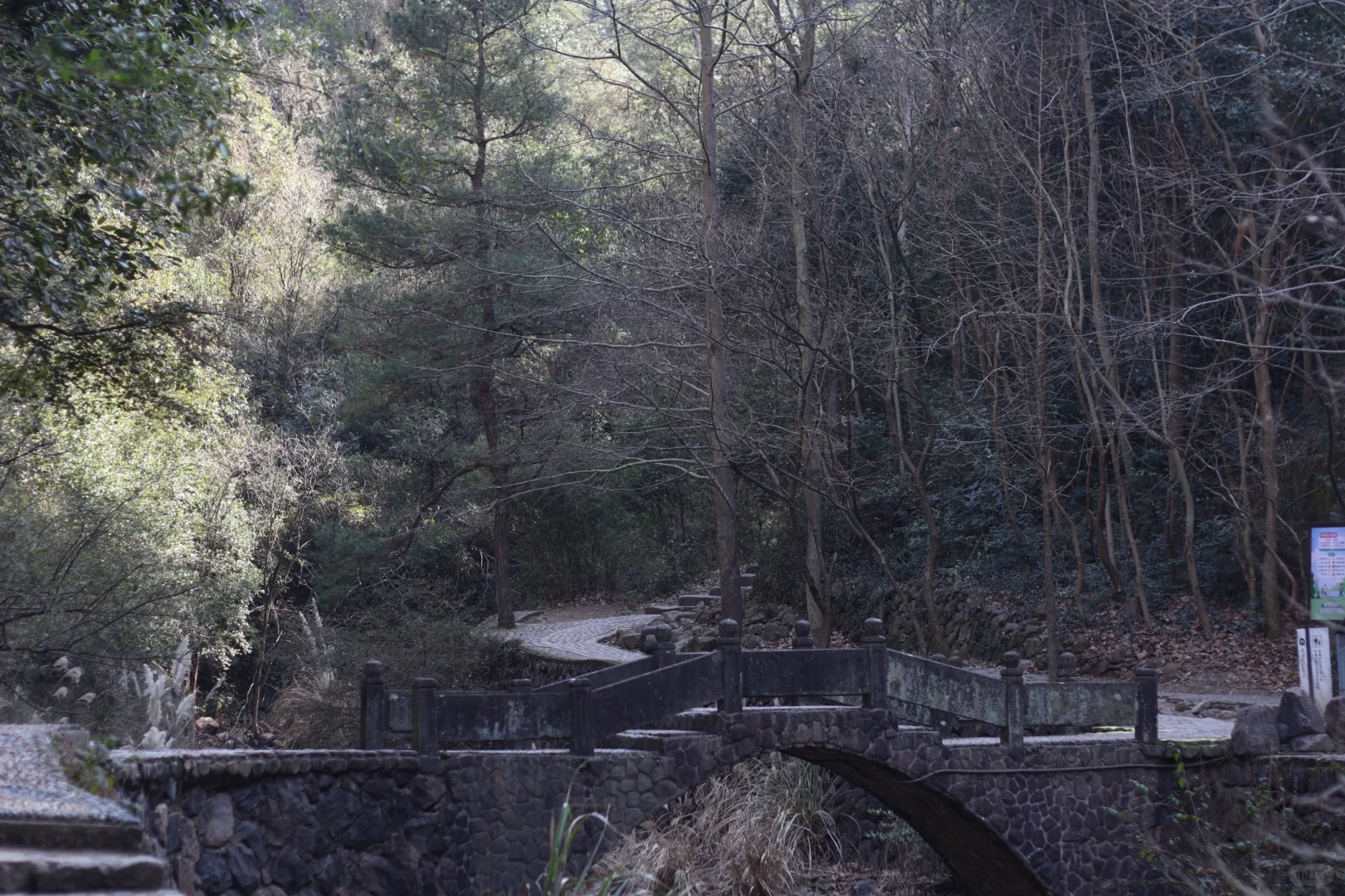 桐庐day1…论景区的食物能有多离谱