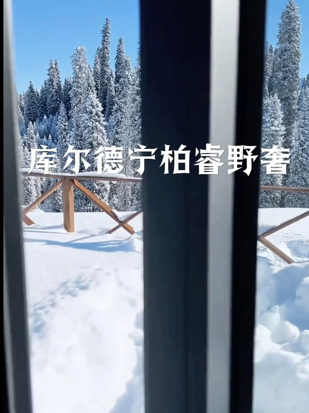 人均1W足矣❗冬天的伊犁真不比阿勒泰差🌟