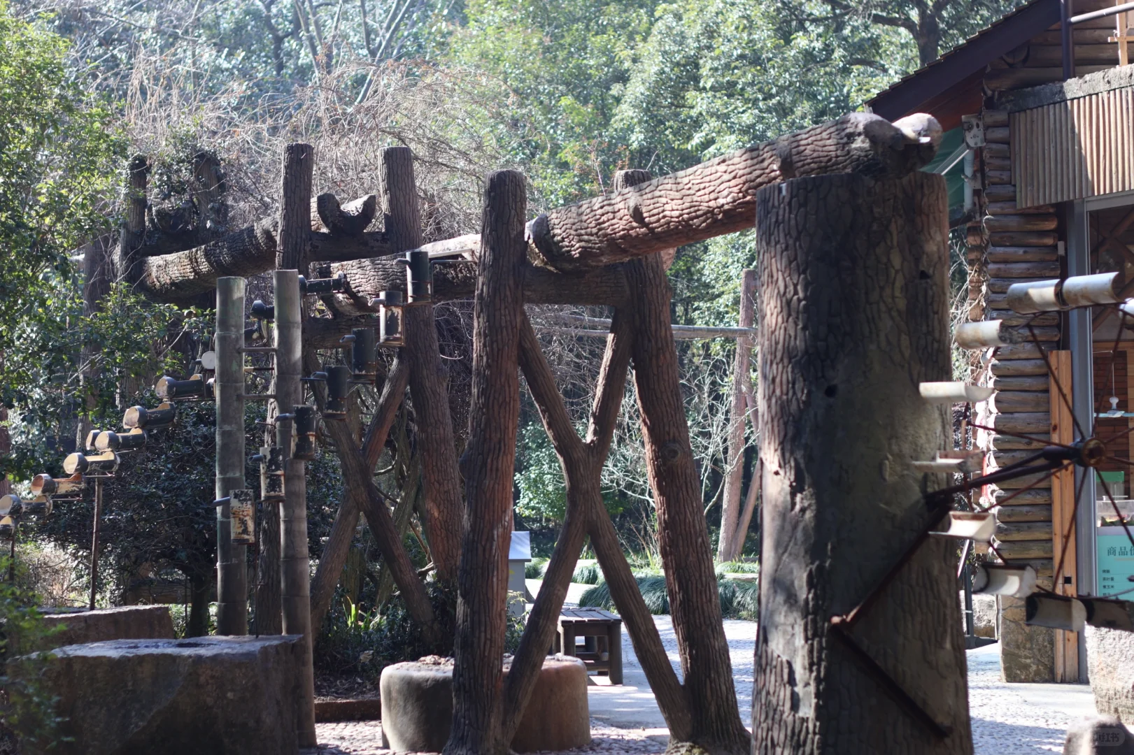 桐庐day1…论景区的食物能有多离谱