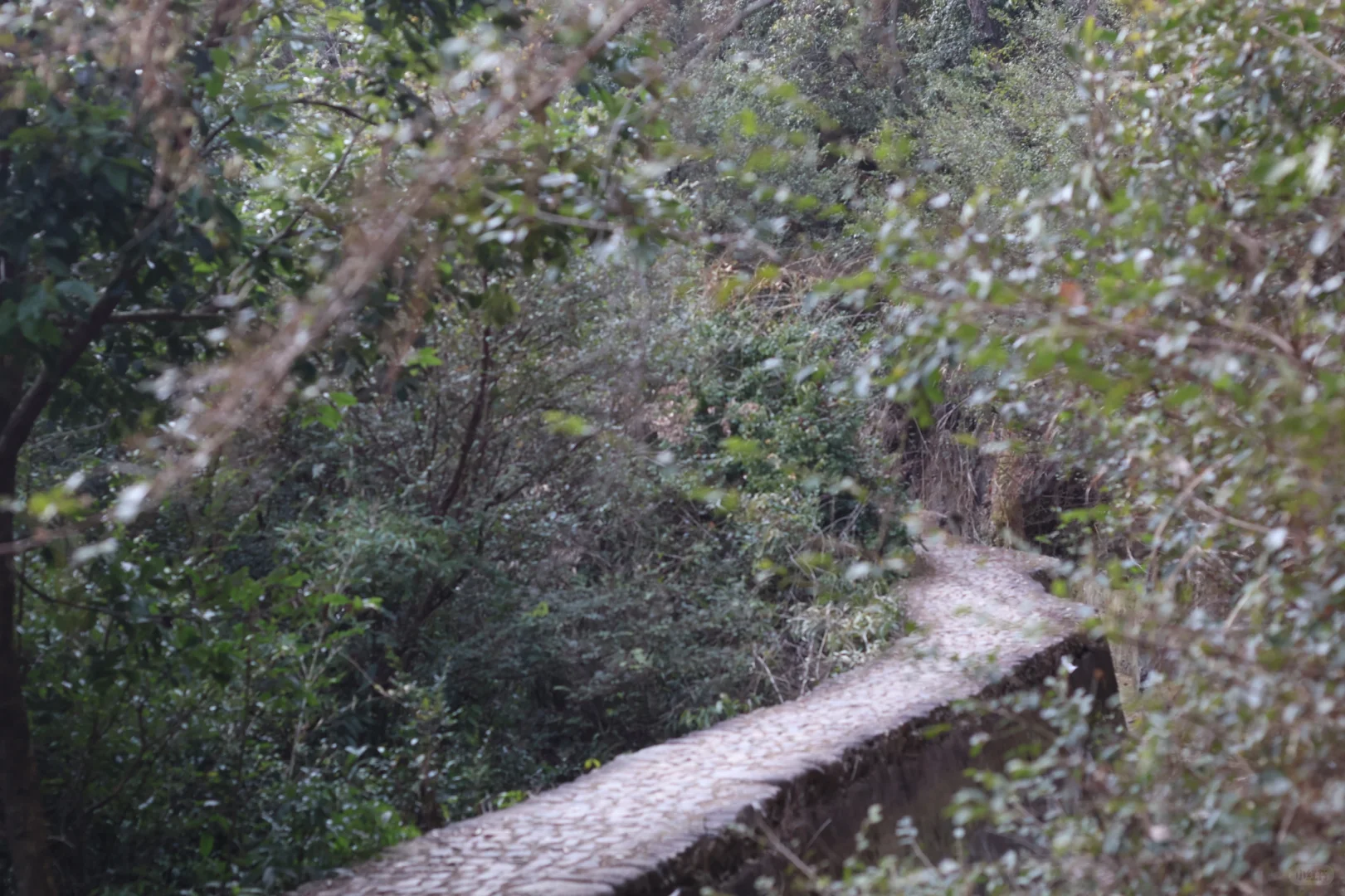 桐庐day1…论景区的食物能有多离谱