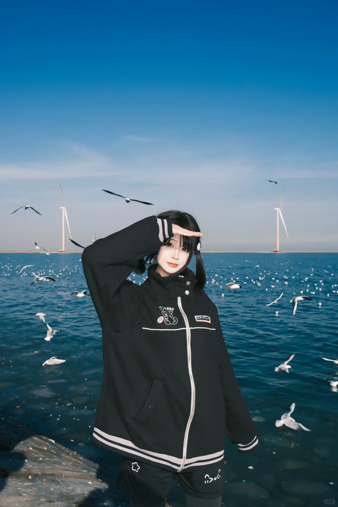 海边的甜妹与海鸥!