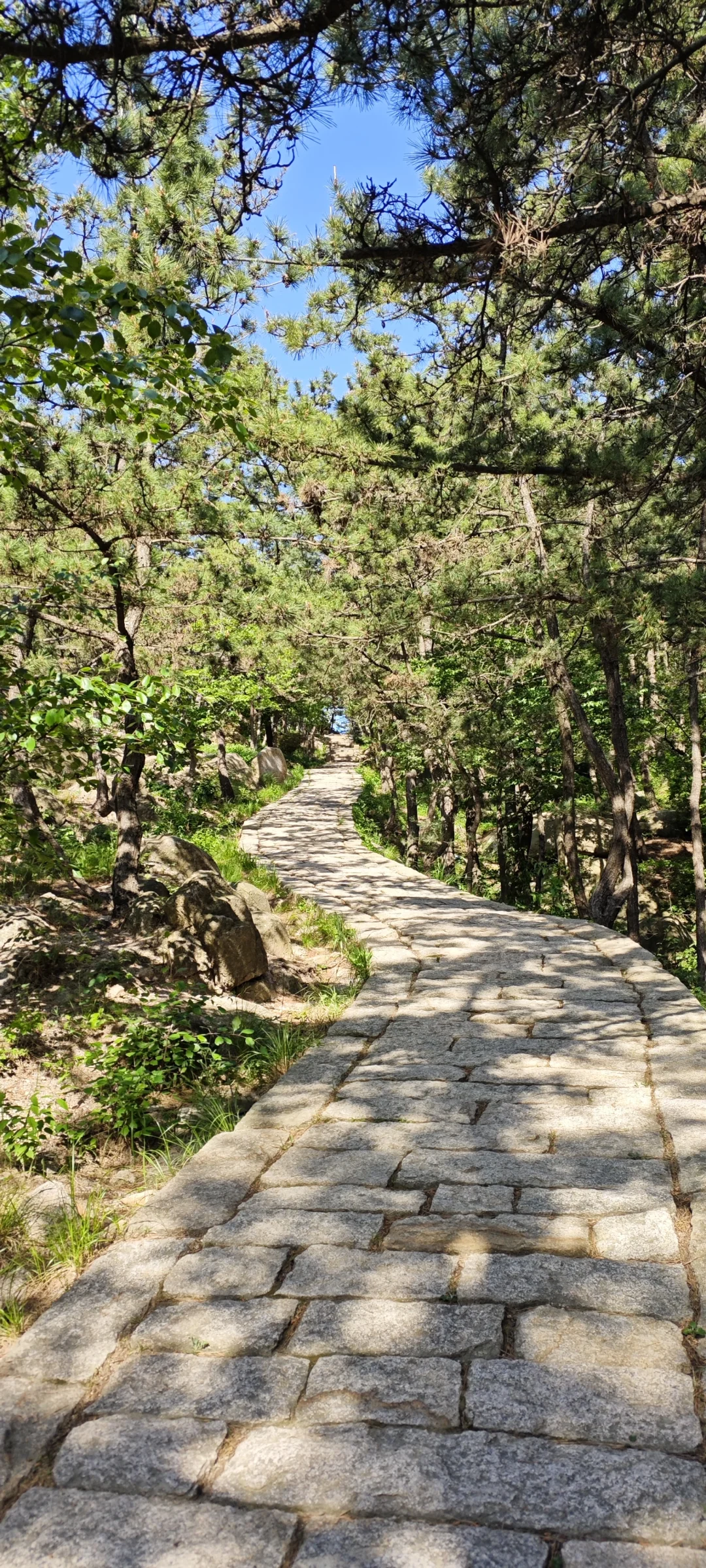 崂山太清游览区登山（三）