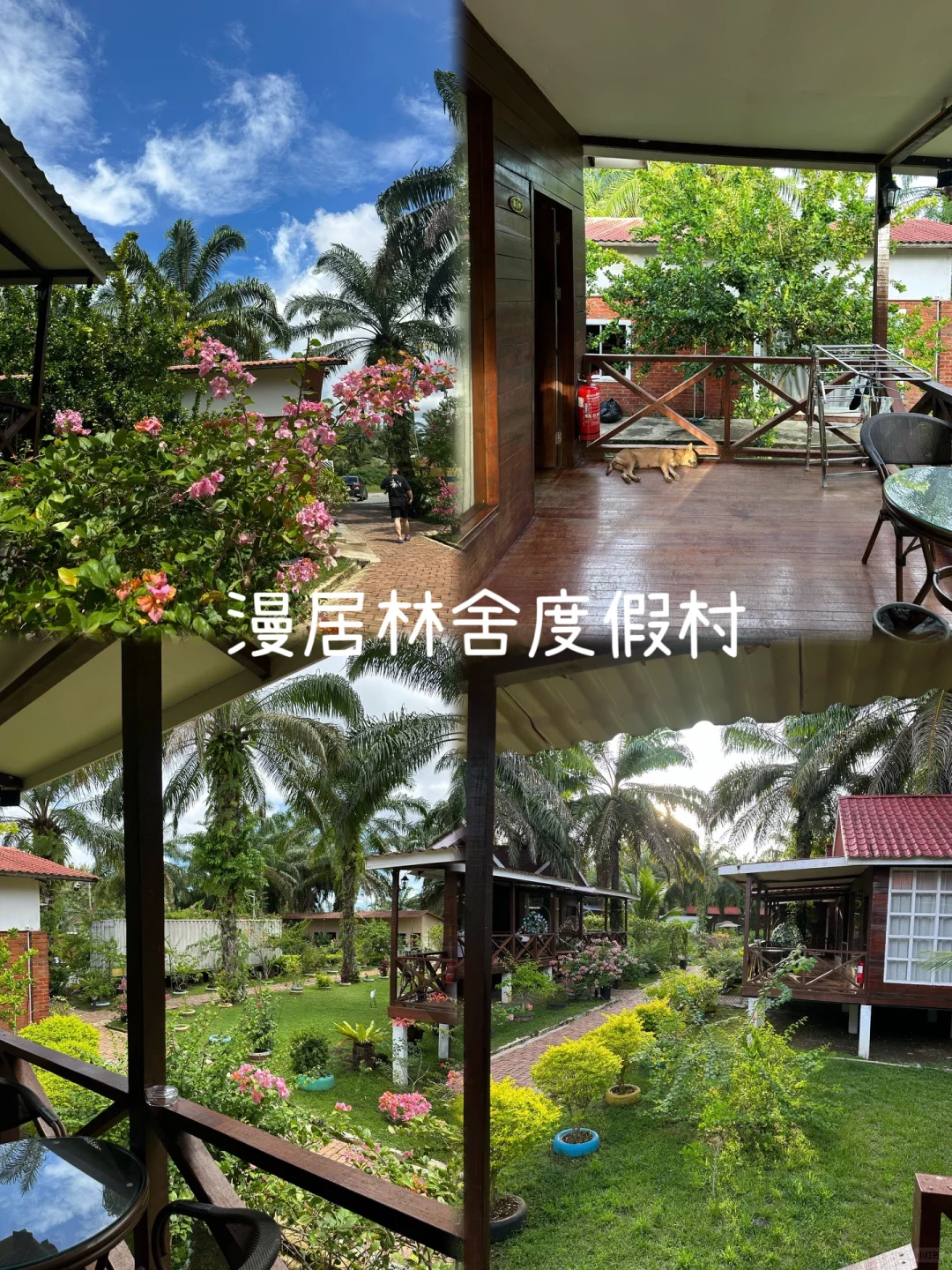 马来西亚旅游🇲🇾| 5天4夜超详攻略！