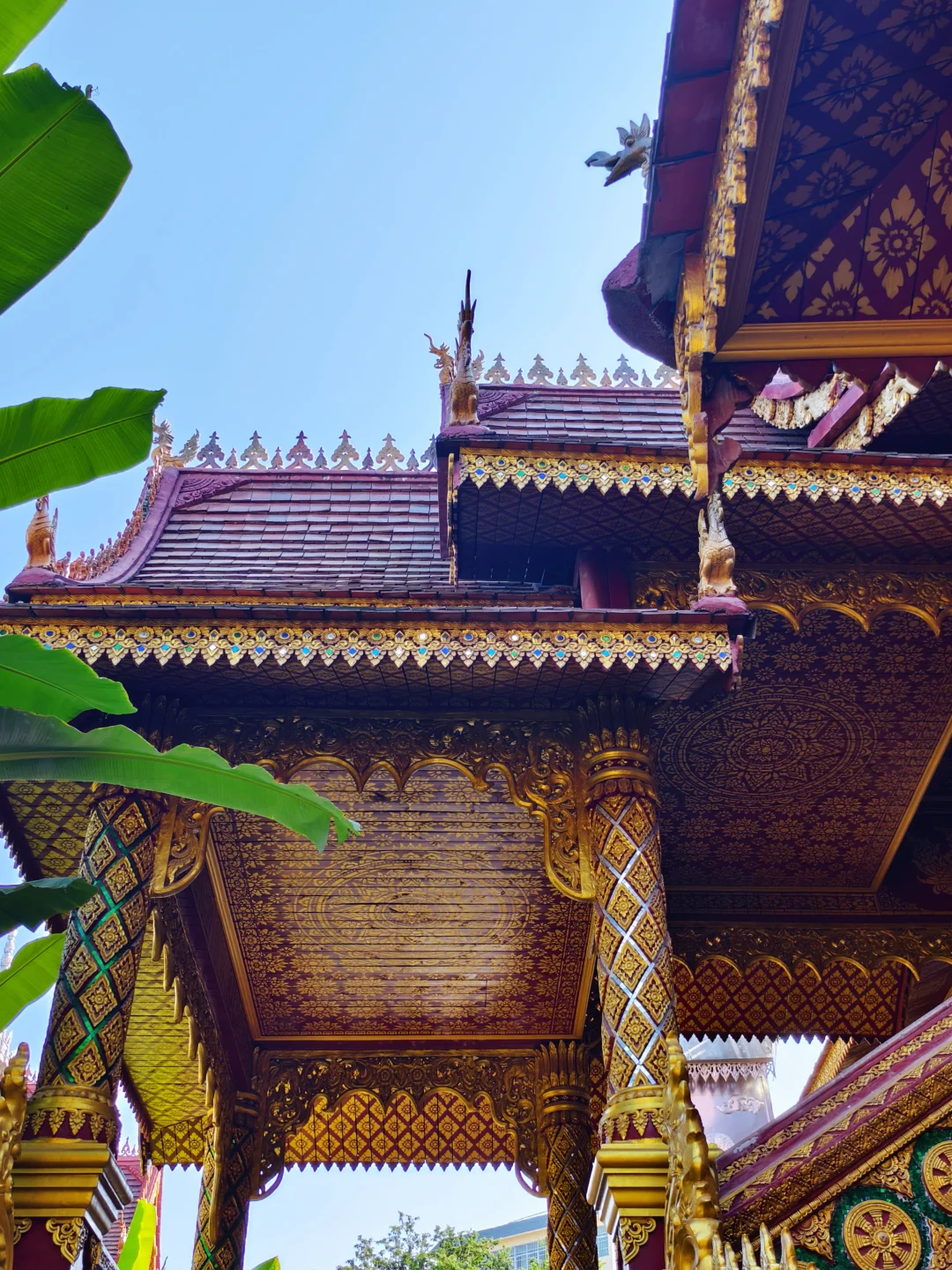 西双版纳|曼听公园+总佛寺