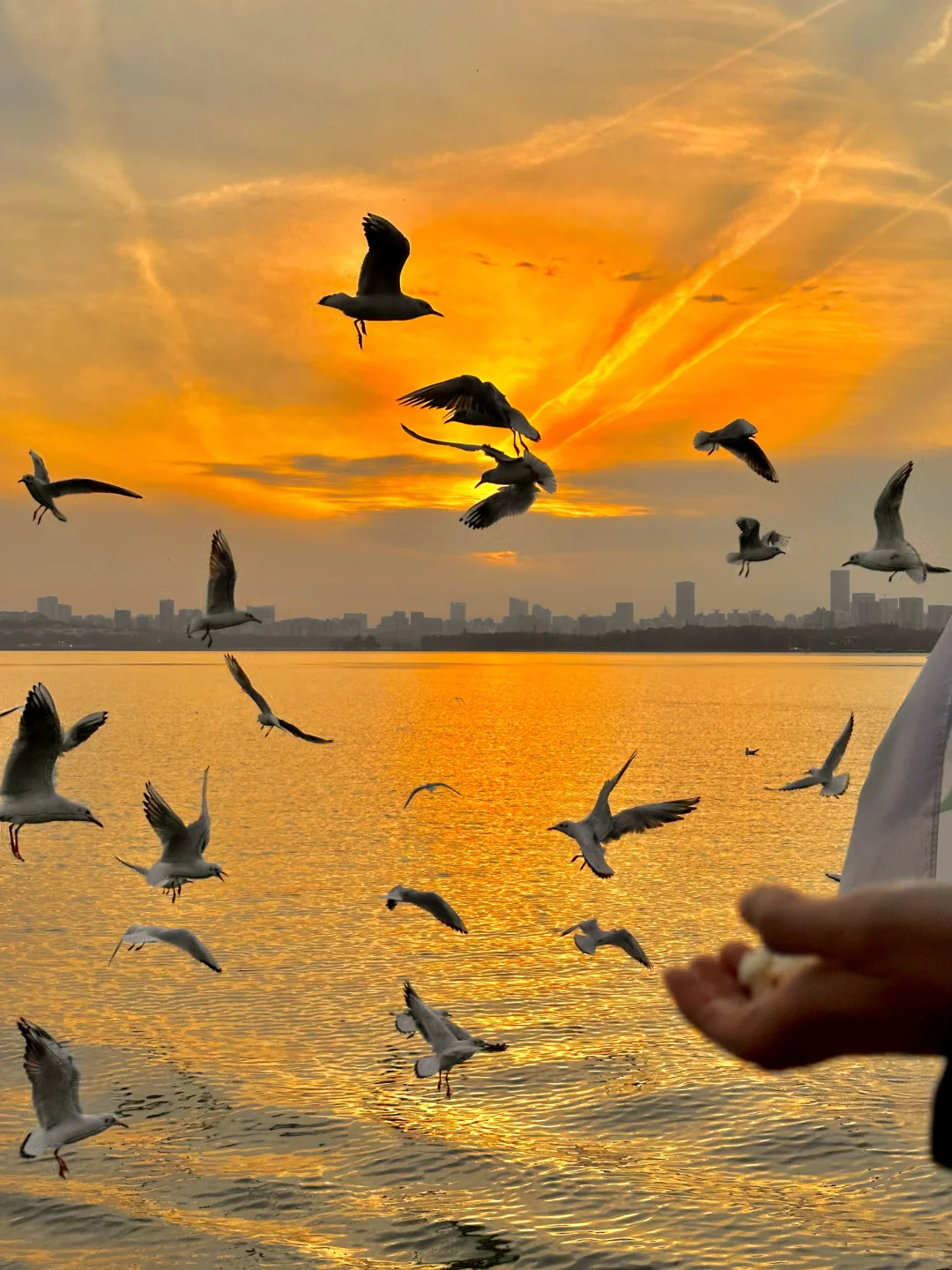 不是大理去不起，而是东湖更有性价比！！！