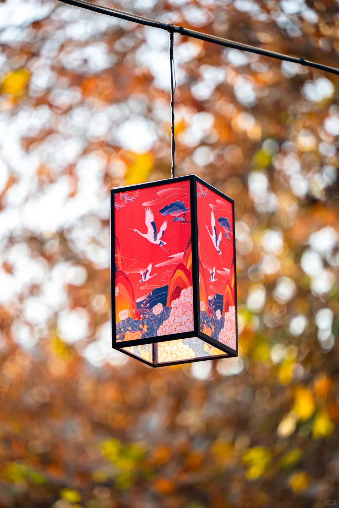 无锡|春晚分会场惠山古镇,央妈定义中式浪漫