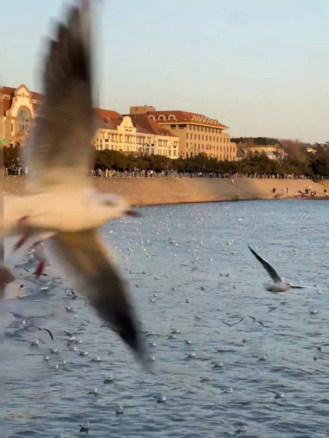 听劝👂🏻1-3月来青岛的姐妹请🐴住