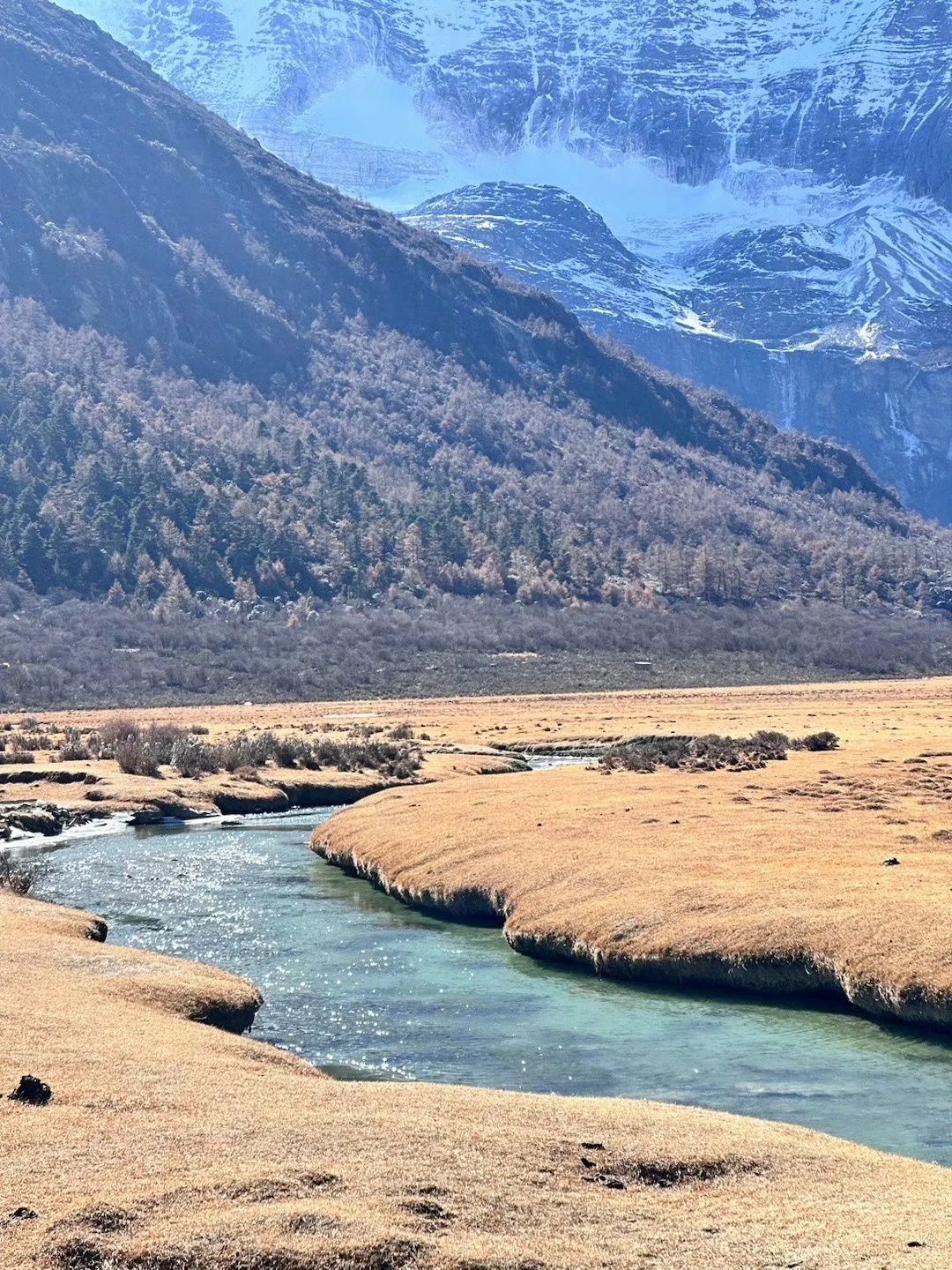 四川旅游🗺️攻略➰土著整理不绕路行程➕建议