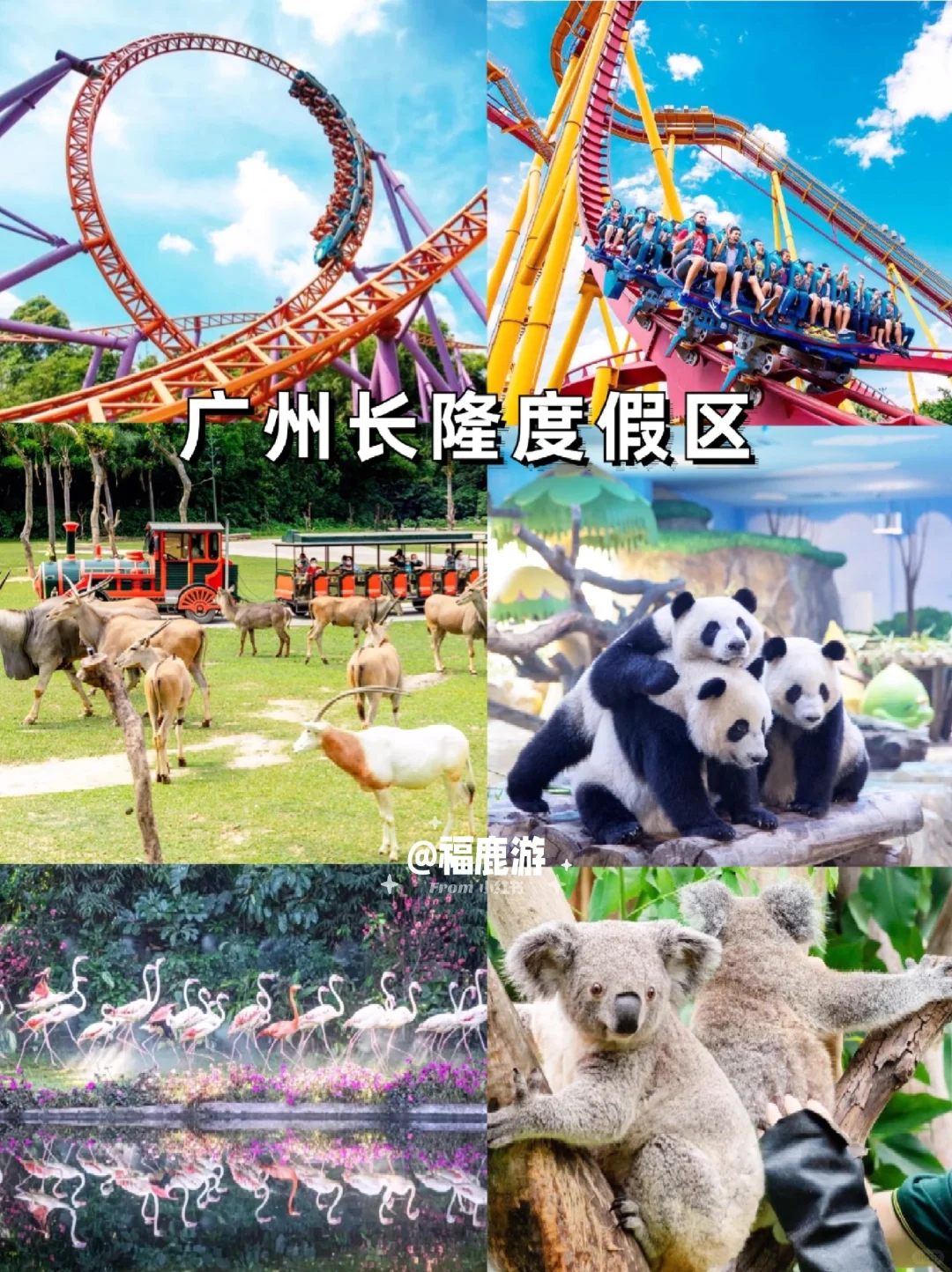 广东定制游|人均1000+😭老广带你游广东！