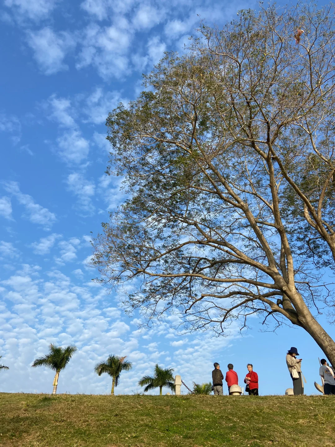 厦门1月12日现状…春节要来的先听劝！！！！