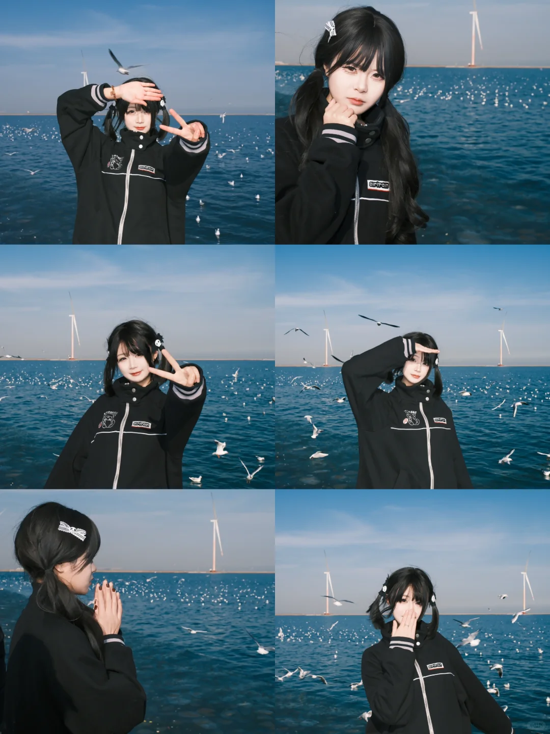 海边的甜妹与海鸥!