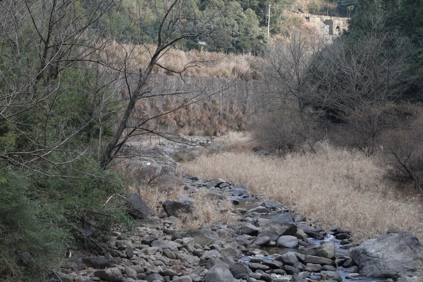 桐庐day1…论景区的食物能有多离谱