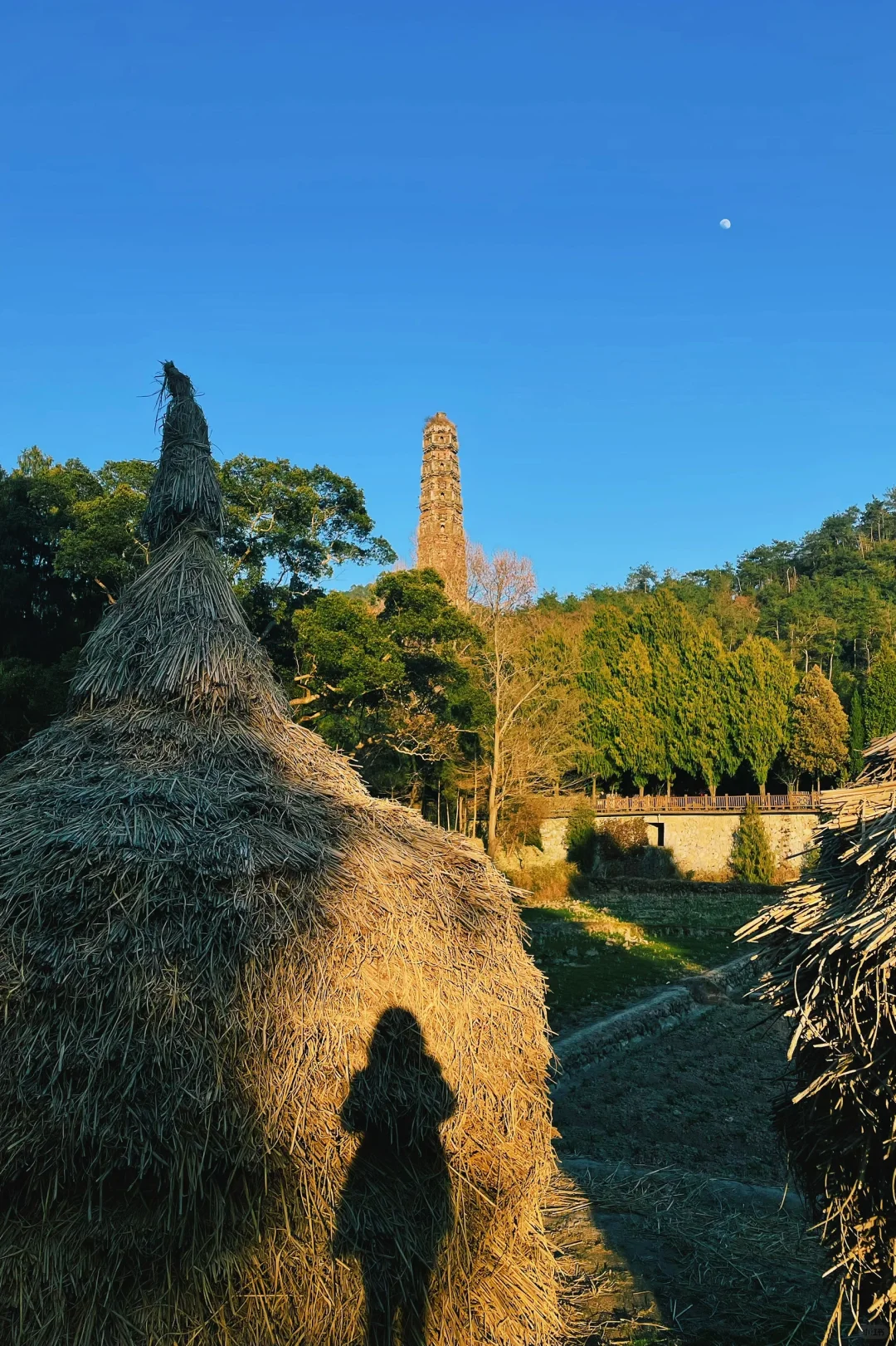 国清寺 一个免门票的5A级景区