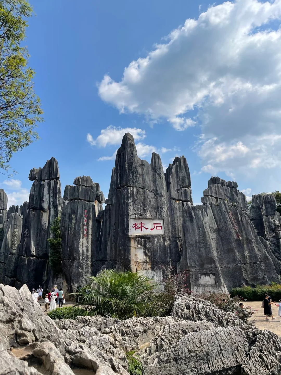 云南这些地方，你来过没有？