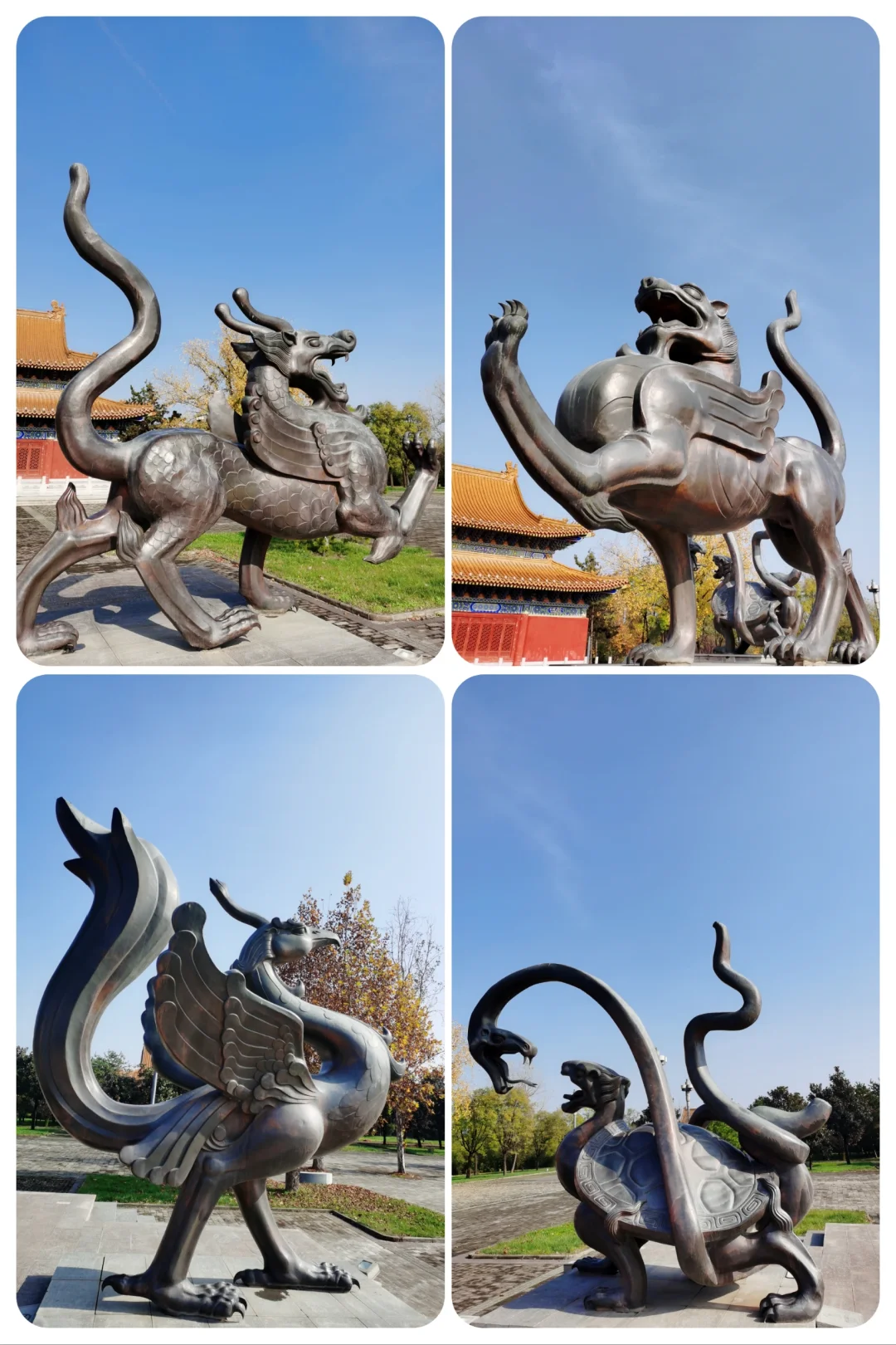 西安周边游:周至县 古楼观 老子亲植银杏