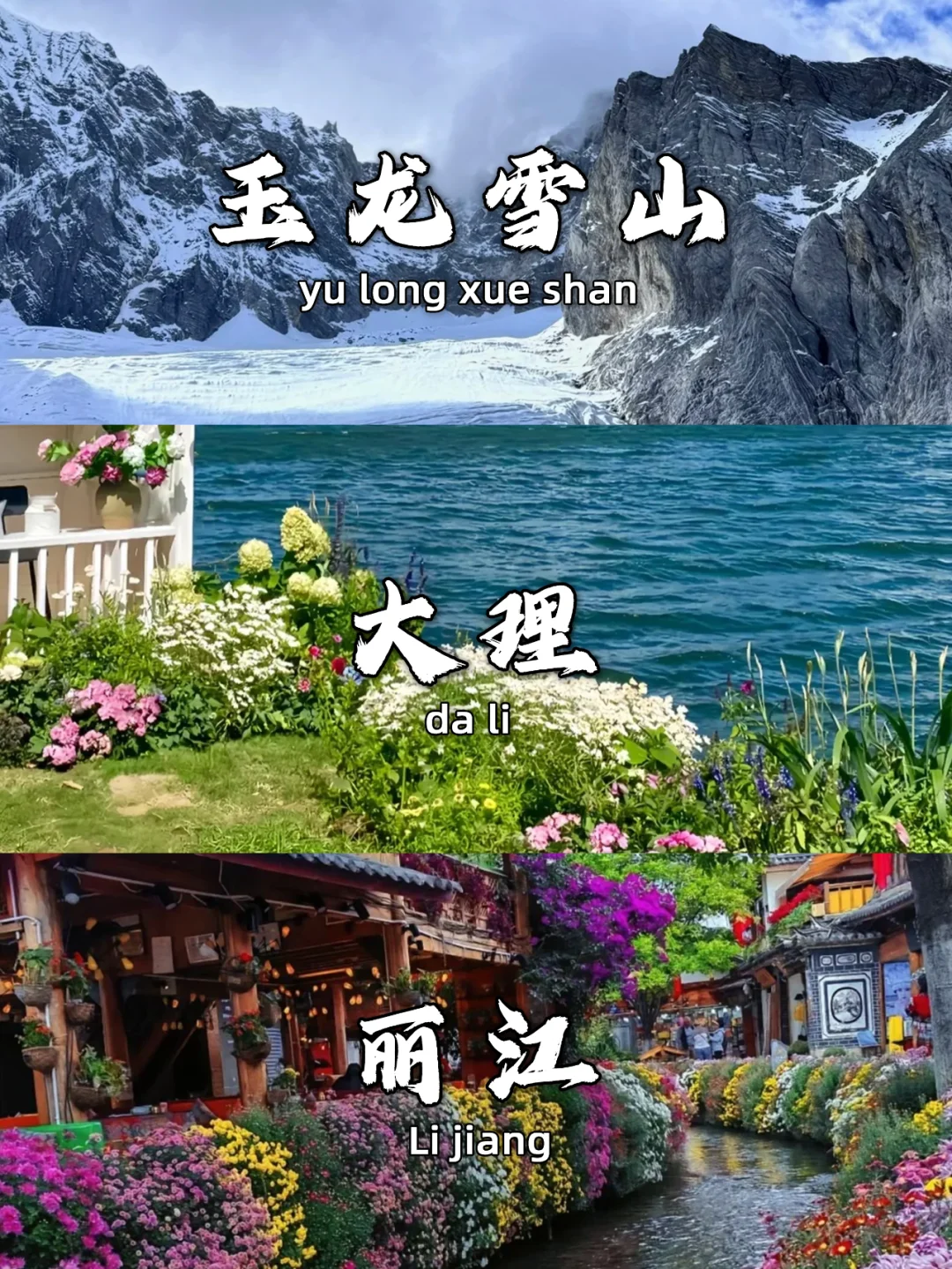 1月去云南旅游的姐妹👭听劝