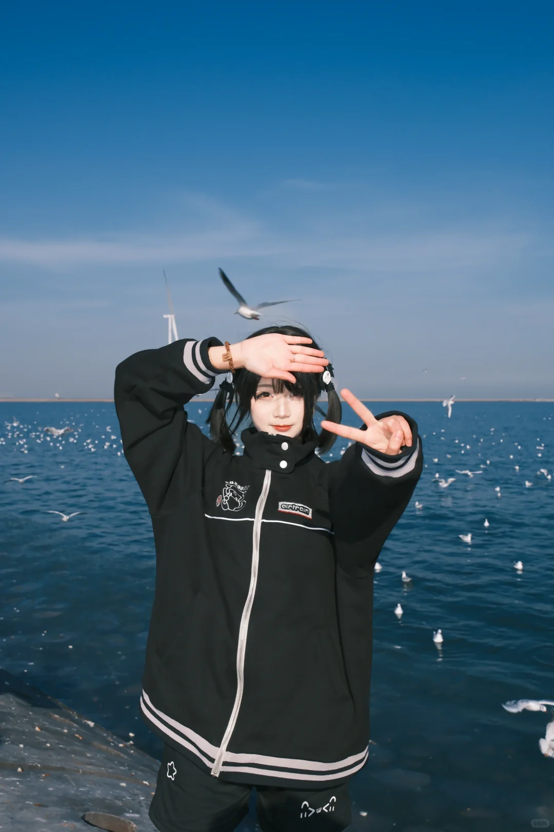 海边的甜妹与海鸥!