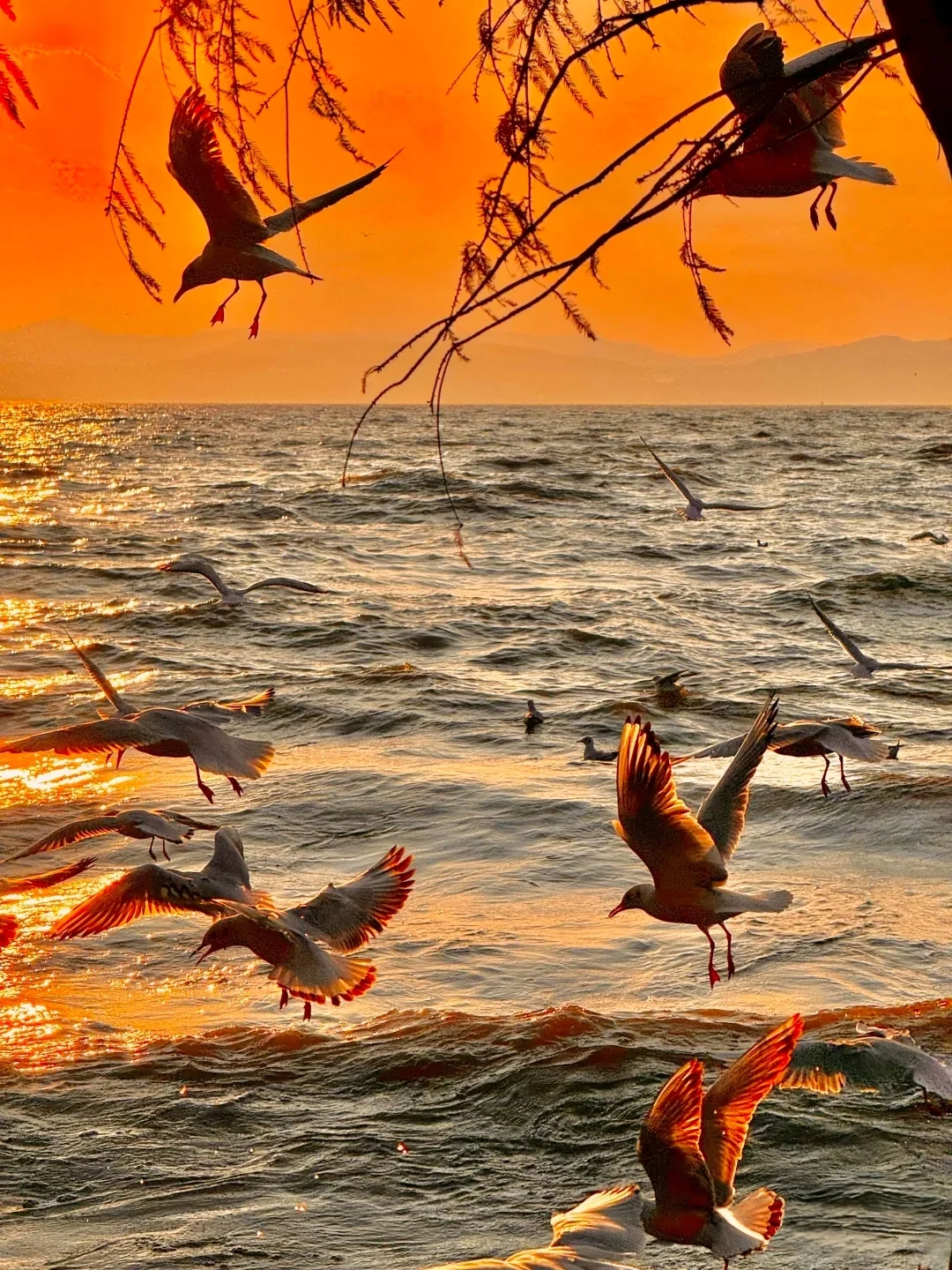 云南这些地方，你来过没有？