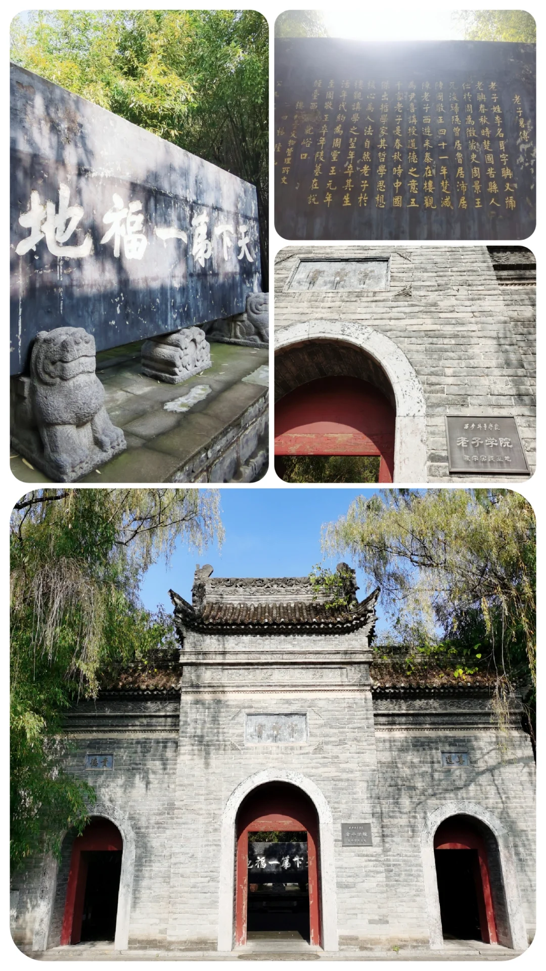 西安周边游:周至县 古楼观 老子亲植银杏