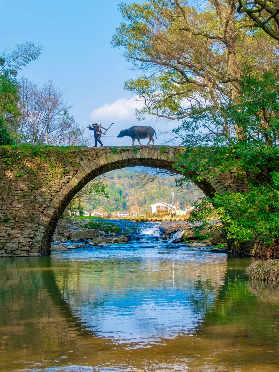 往返33次婺源，我最爱这9个免费古村落🌳