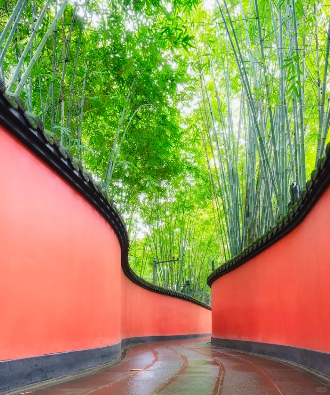 03女大📍成都/三天二夜精华版旅游攻略!