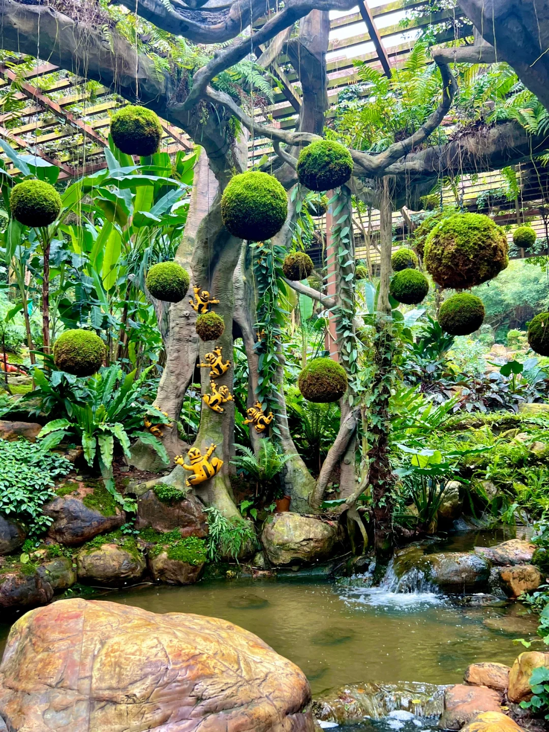 第一次来南宁❗️请直接复制这条3天游线路‼️