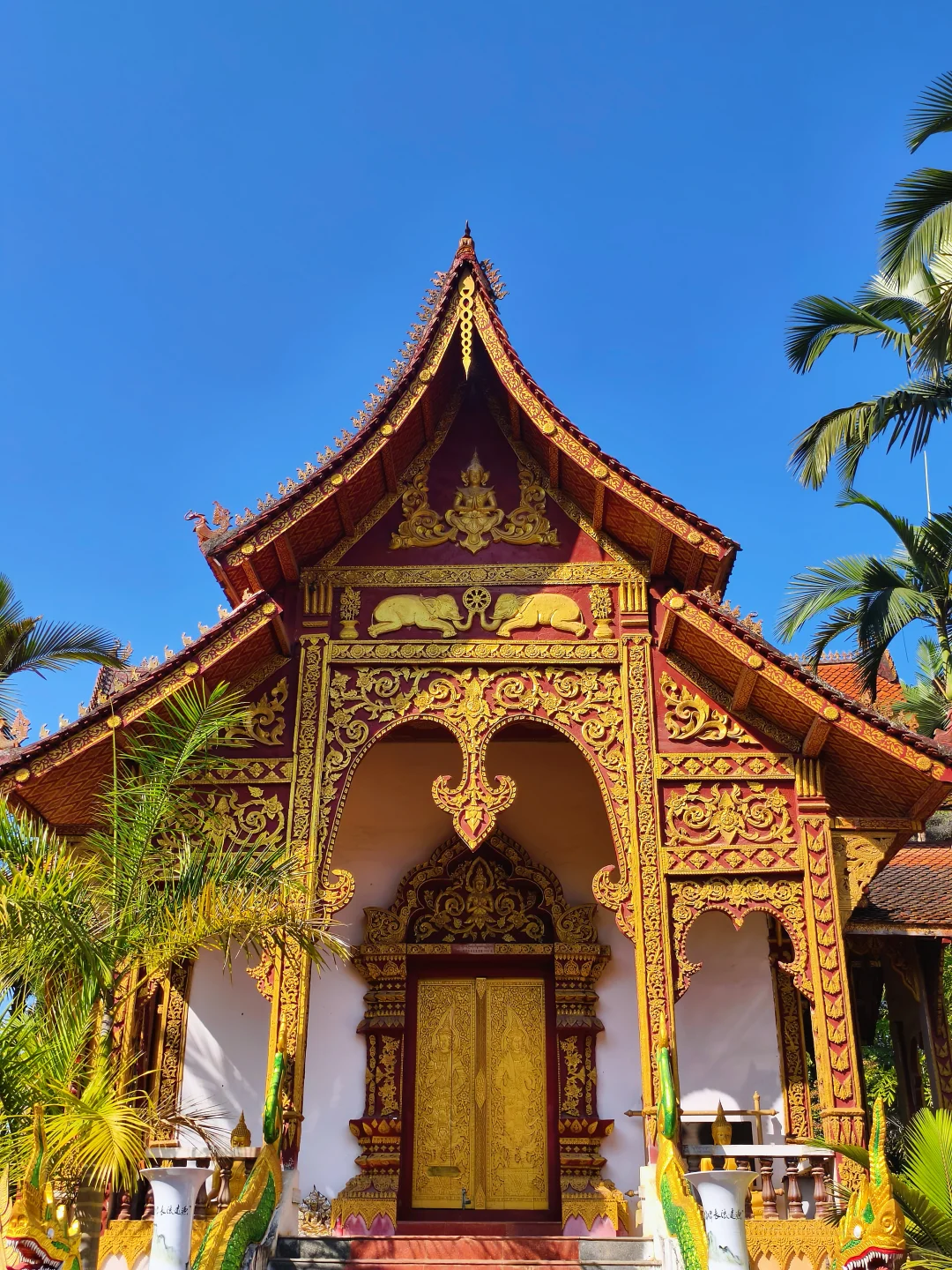 西双版纳|曼听公园+总佛寺