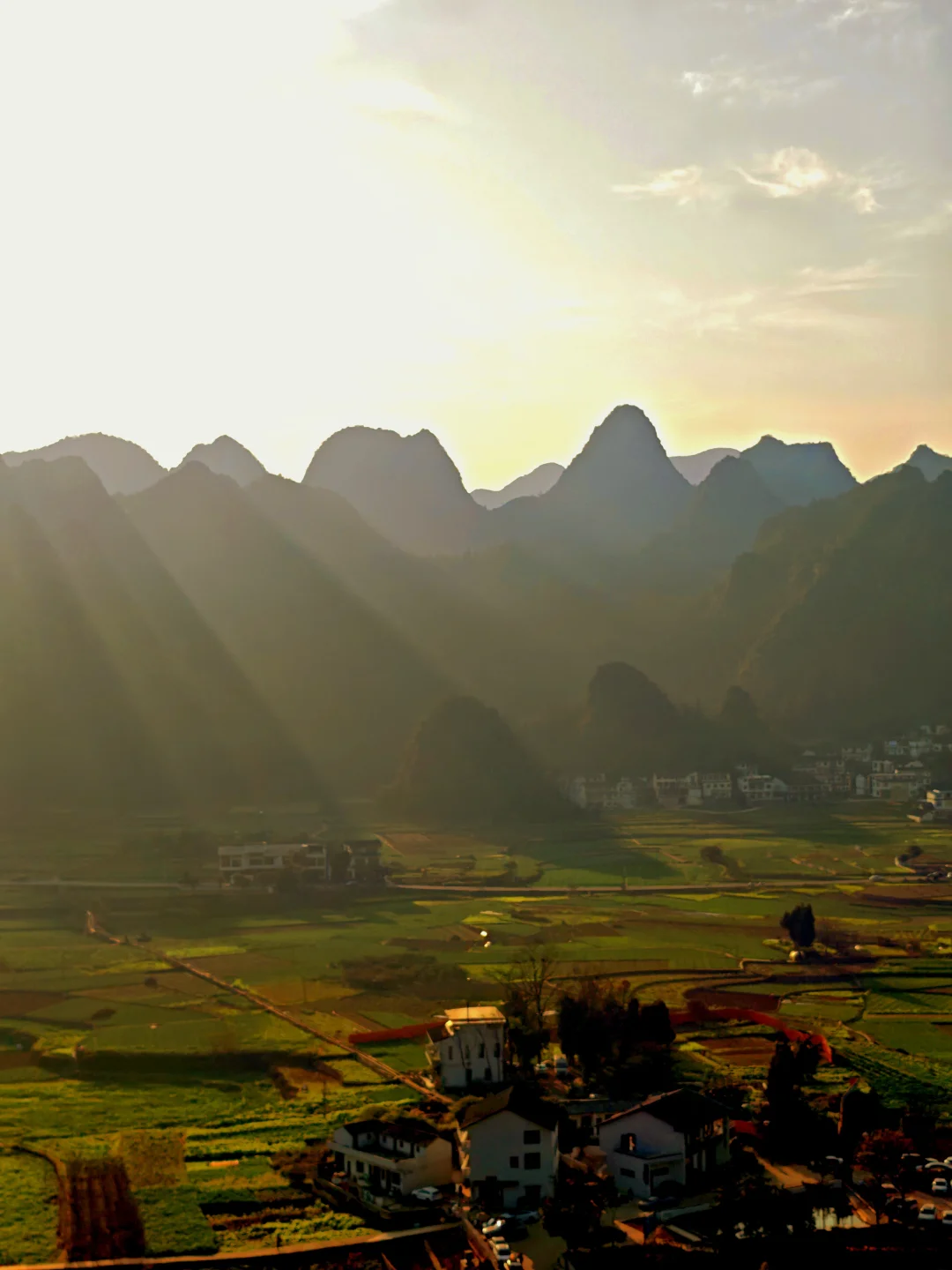 天下山峰何其多，唯有此处峰成林