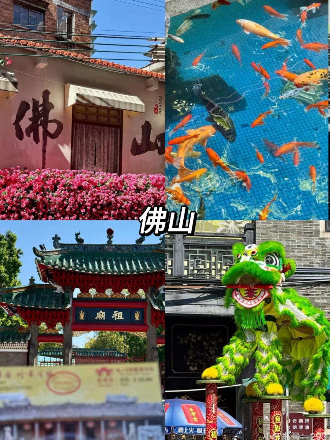 春节来广东旅游❗8大城市景点推荐💯