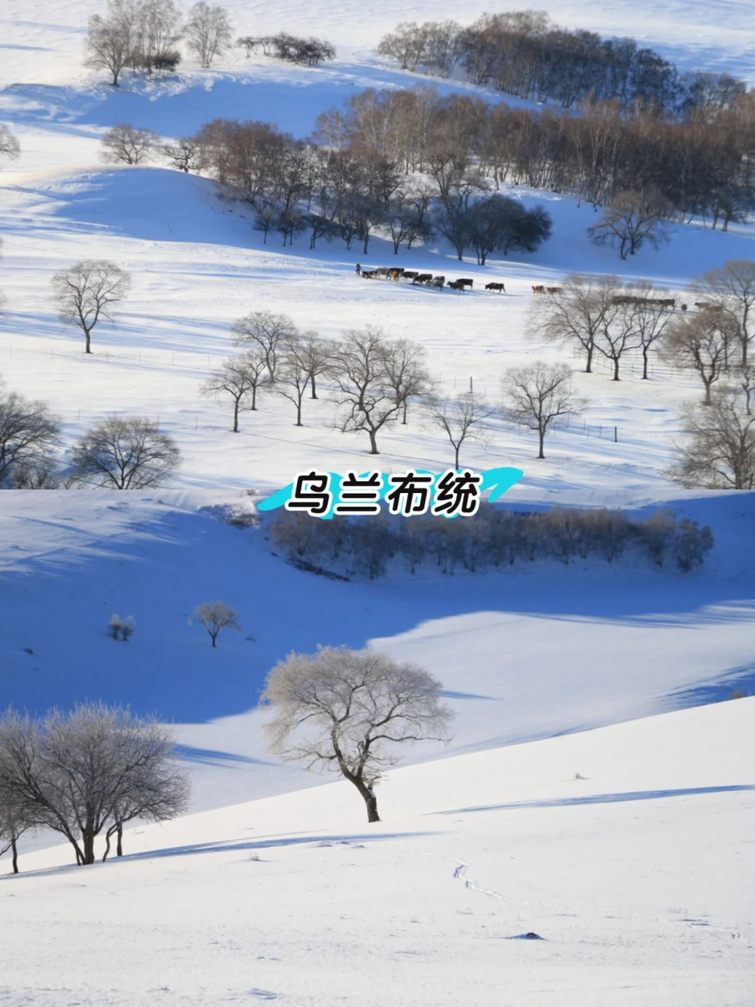 2025🧨最适合春节去的12个地方！码住！