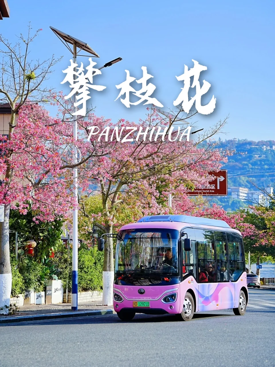 9个寒假暖冬好去处‼️怕冷的宝宝冲