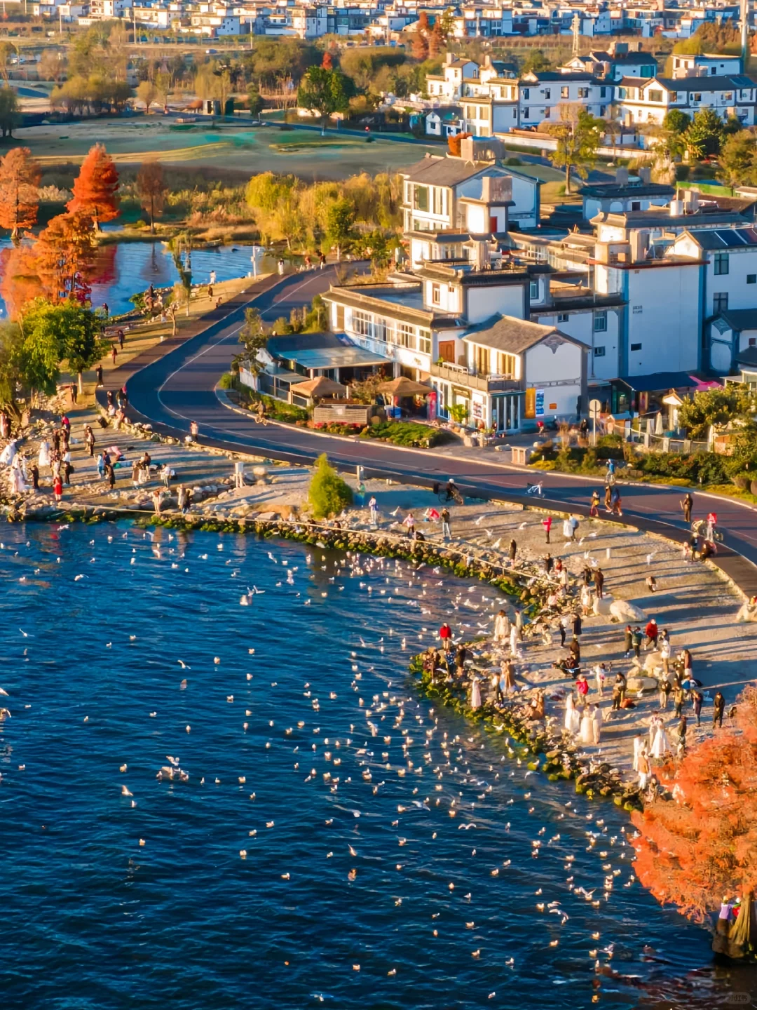 云南这些地方，你来过没有？